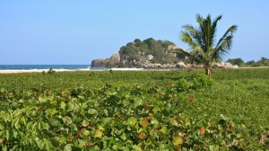 Best Beaches in Colombia