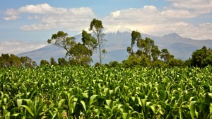Road from Riobamba to Isinlivi Snow Capped Volcanoes of Ecuador